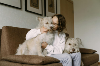 Cuáles son los beneficios de convivir con un perro, según Harvard