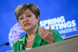 El FMI destacó los progresos, pero dijo que las reservas del Banco Central son “críticamente” bajas