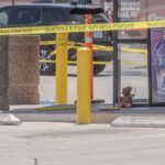 El increíble operativo policial montado por un oso de peluche en Carolina del Sur que sorprendió a todos