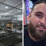 Es cubano con green card en EE.UU. y está detenido en Alligator Alcatraz: su abogada denuncia un limbo judicial