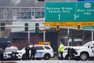 Así fue como la CBP incautó un contrabando millonario que iba a Nueva York: lo detectaron en pleno paso fronterizo legal
