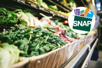 Calendario de pagos de SNAP en Florida: las fechas de depósito para septiembre de 2025