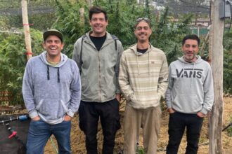 Son emprendedores y con un cultivo crearon un supermaterial para la construcción