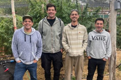 Son emprendedores y con un cultivo crearon un supermaterial para la construcción