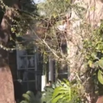 Así es la casa del horror, el lugar donde fueron torturadas y asesinadas Morena, Brenda y Lara en Florencio Varela