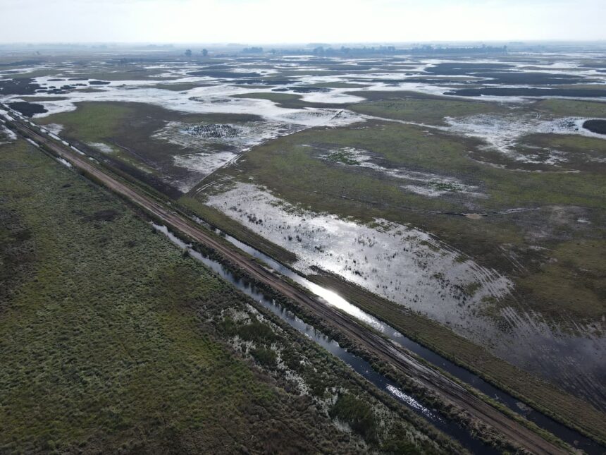 Denunciaron penalmente a dos intendentes bonaerenses por las inundaciones