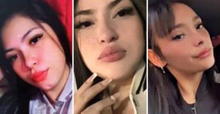 Detuvieron en la frontera con Bolivia al quinto sospechoso por el triple crimen