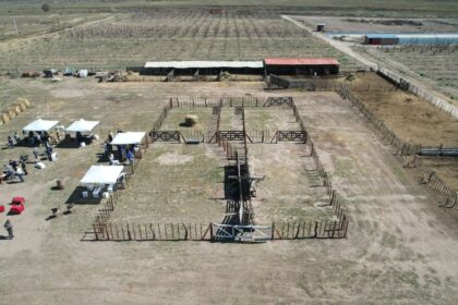 Tras un reclamo histórico, crearon una novedosa iniciativa para las vacas