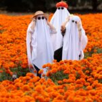 Fantasmas - LA NACION