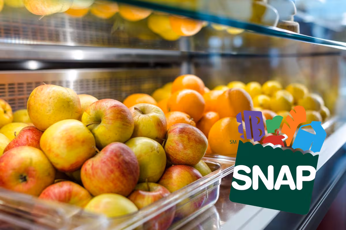 En Nueva Jersey: así queda el calendario de pago SNAP de diciembre 2025