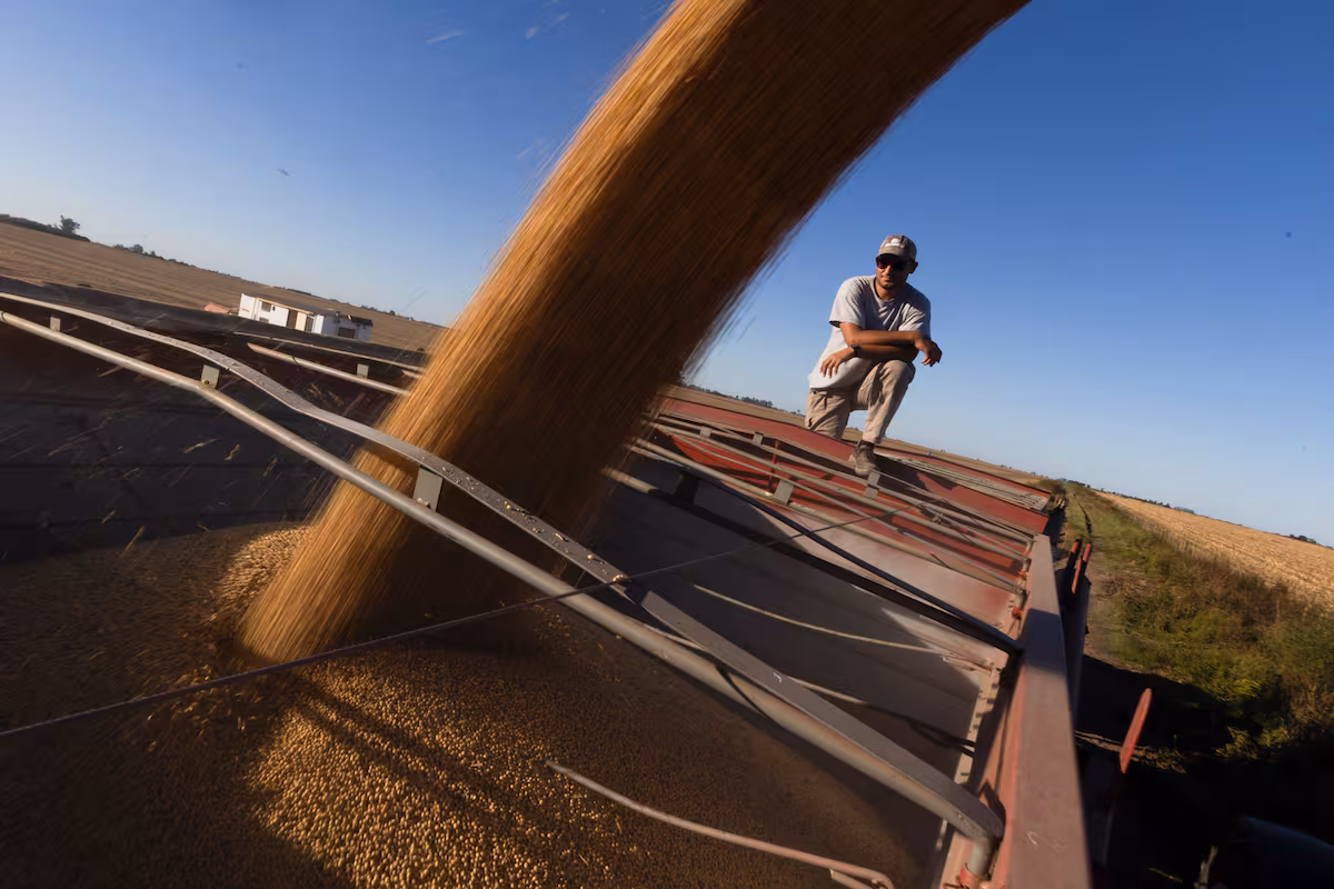 La política cambiaria e impositiva impide mejorar la competitividad del sector