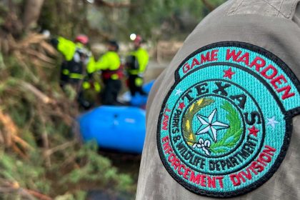 No son las serpientes de Texas: los animales que causan un gran problema en los parques estatales