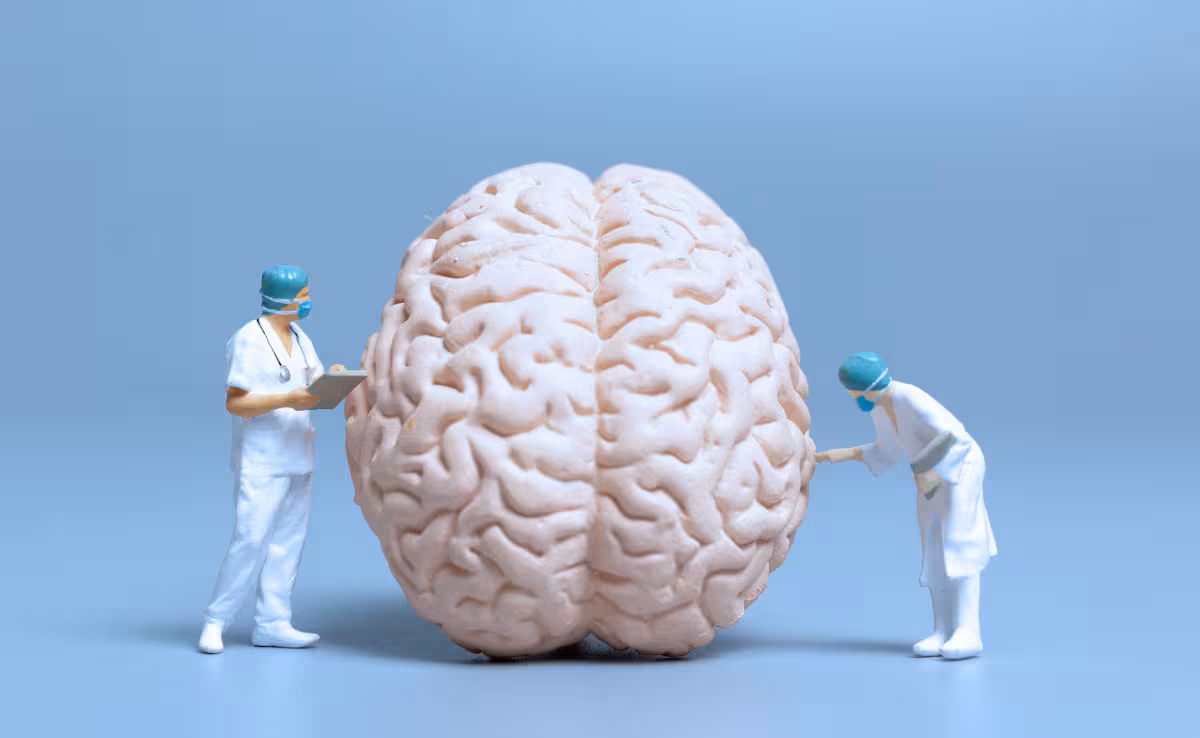 Un especialista revela los efectos poco conocidos que tiene el entrenamiento de fuerza en el cerebro