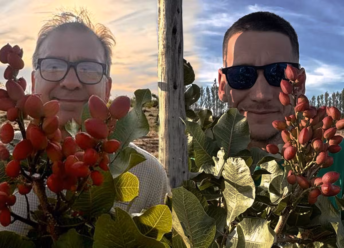 Apostaron a un cultivo en boom a nivel mundial y hoy impulsan un nuevo polo productivo en La Pampa