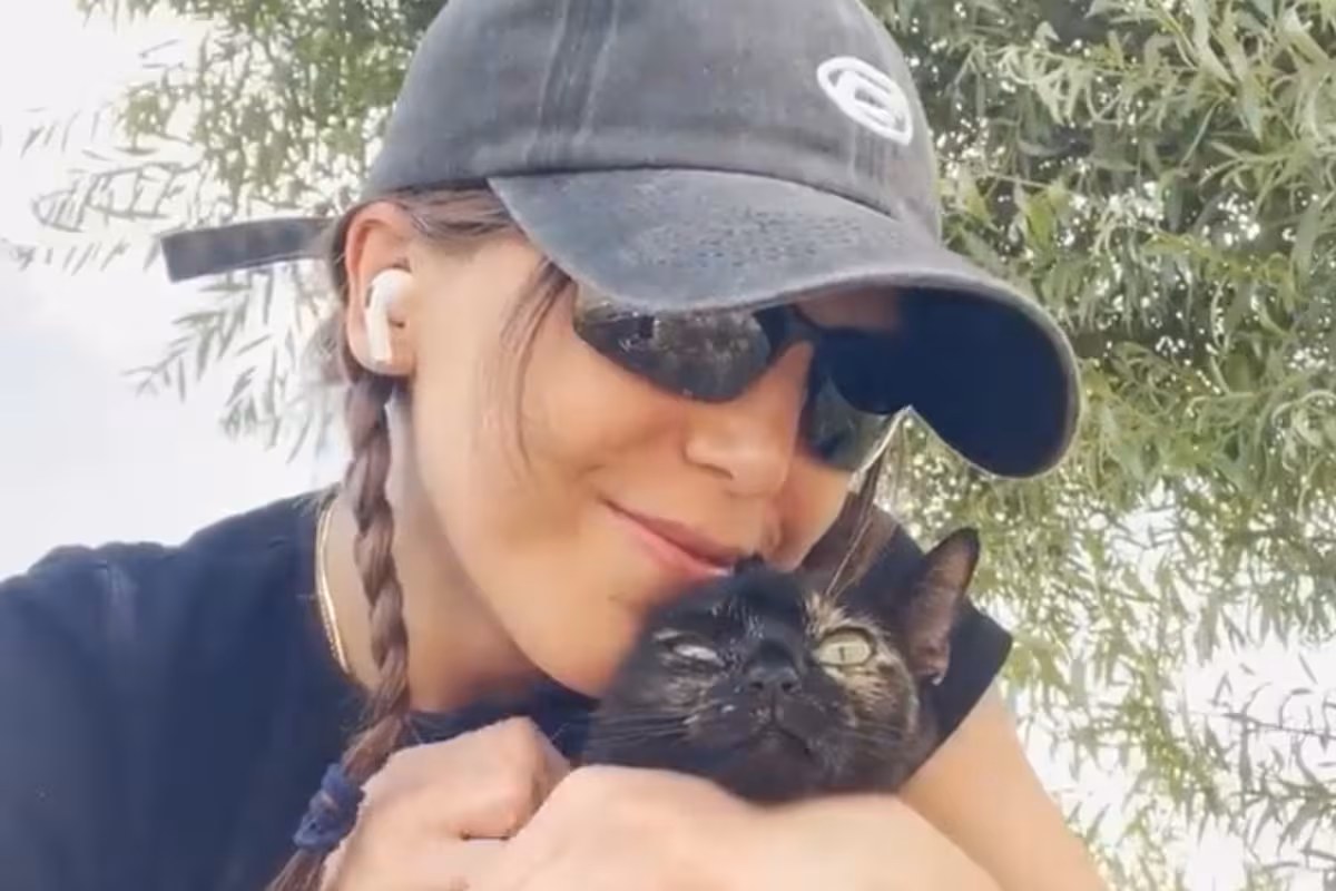 Encontró una gata que no paraba de maullarle y cuando la llevó al veterinario no podía creer la razón detrás