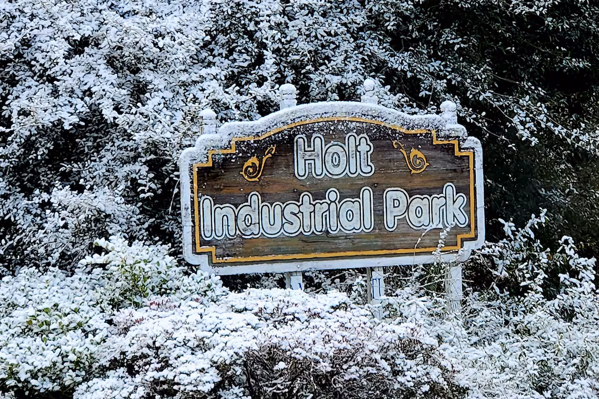 Noticias de Florida, en vivo: bajo la nieve Miami celebra el desfile del Día de Martin Luther King Jr. y otros reportes del lunes 19 de enero