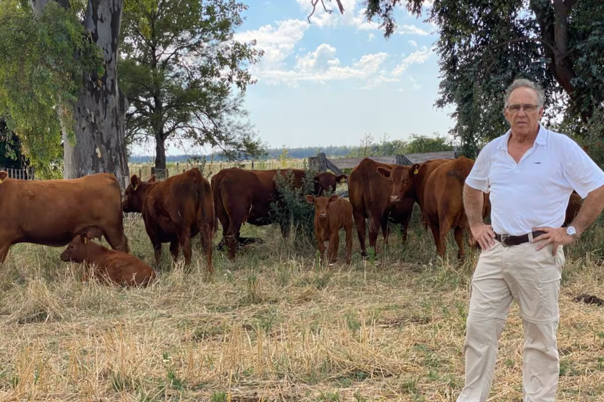 El experto que le pone un segundo piso a los campos ganaderos