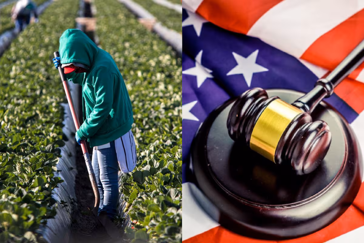 icono tiempo de lectura