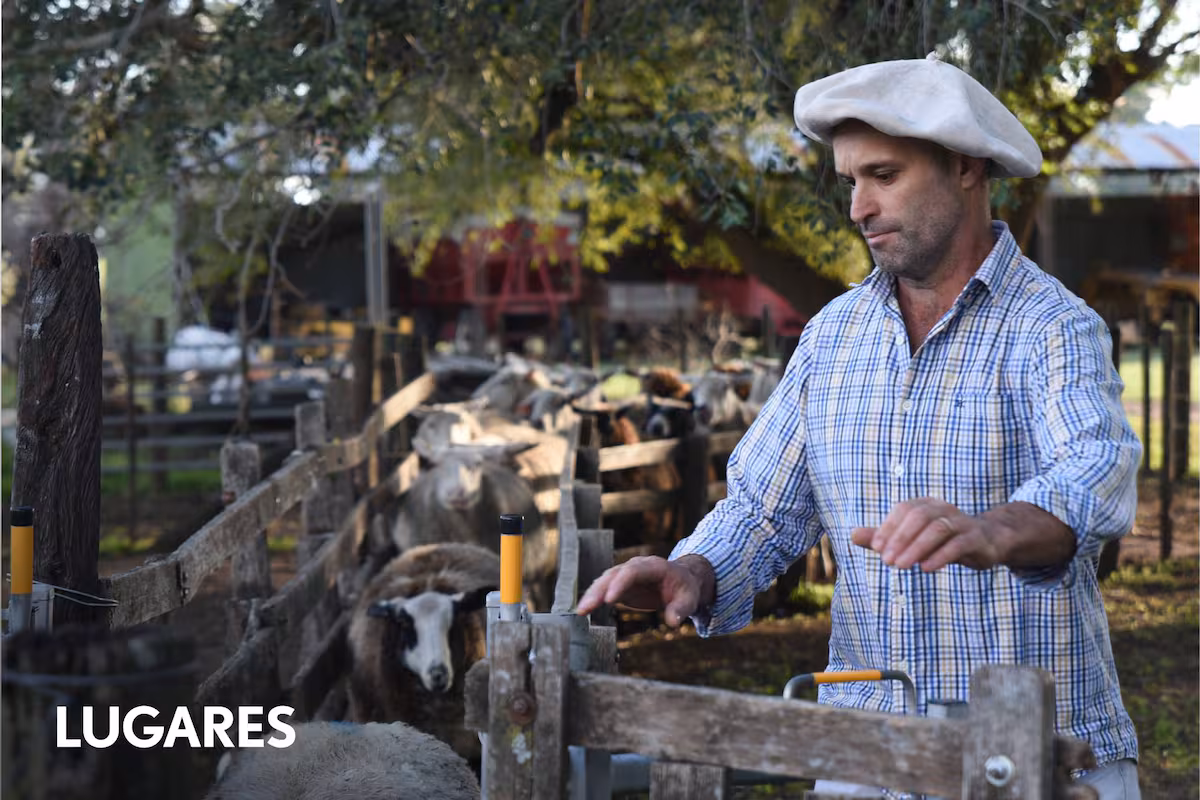 Revista Lugares